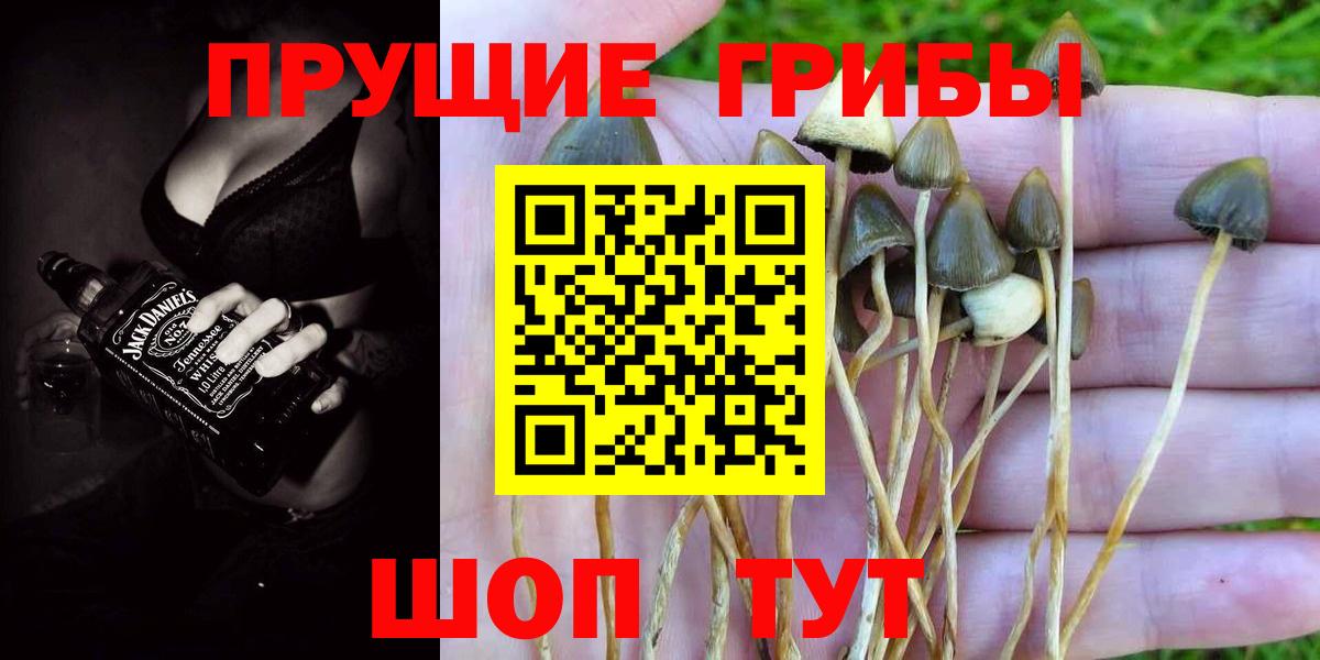 Галлюциногенные грибы MAGIC MUSHROOMS  Вход с VPN  Михайловск  Псилоцибиновые грибы ЛСД 
