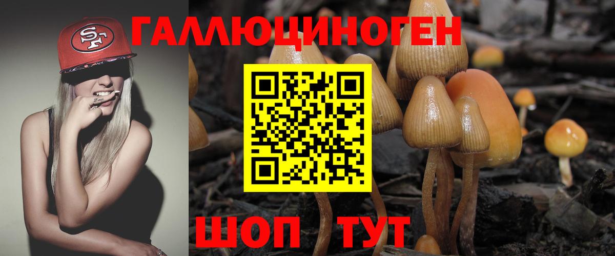 Псилоцибиновые грибы Magic Shrooms Михайловск